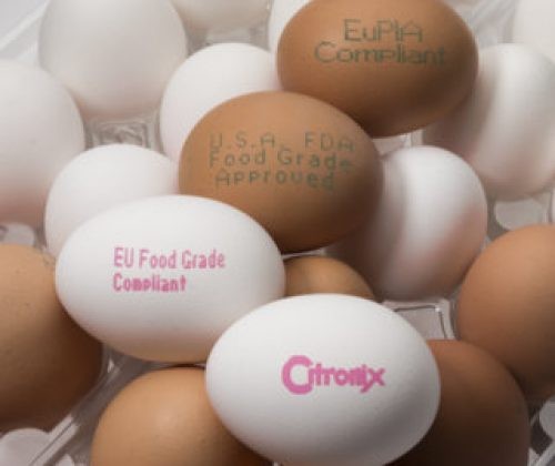 Egg Industry